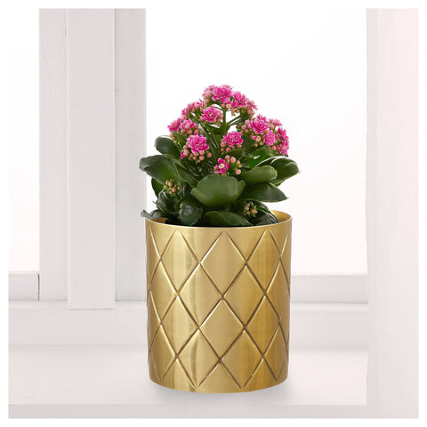 Vase couleur dorée Pot de fleur dekwoo 